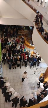 PRIMORSKA POJE V TRENTI2